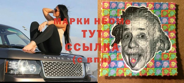 Альфа ПВП Горняк