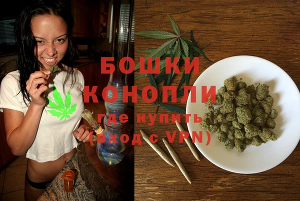 Альфа ПВП Горняк