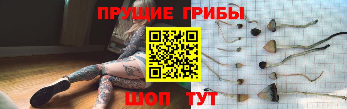 Псилоцибиновые грибы мухоморы Можайск